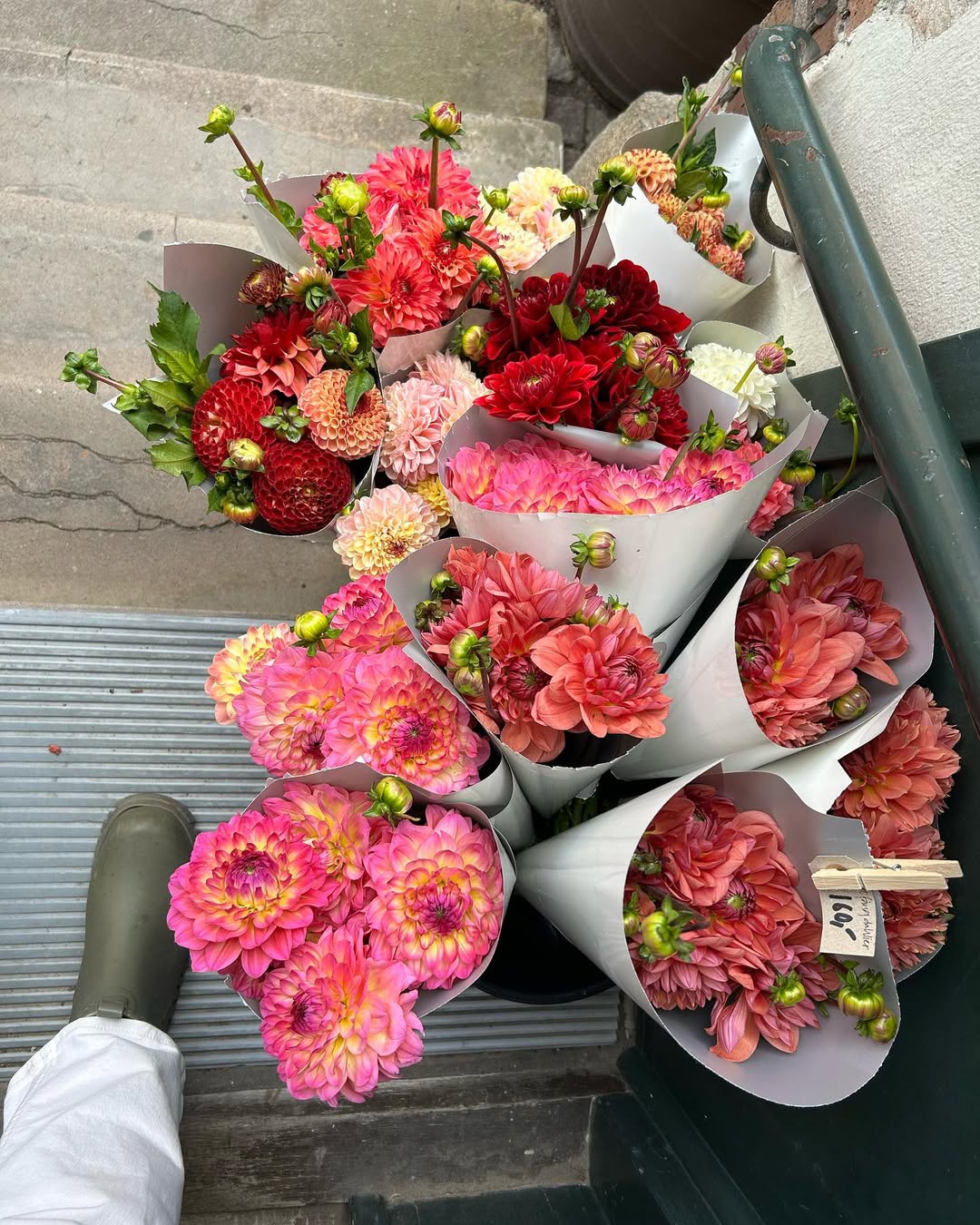 Vackra blommor i röda kulörer