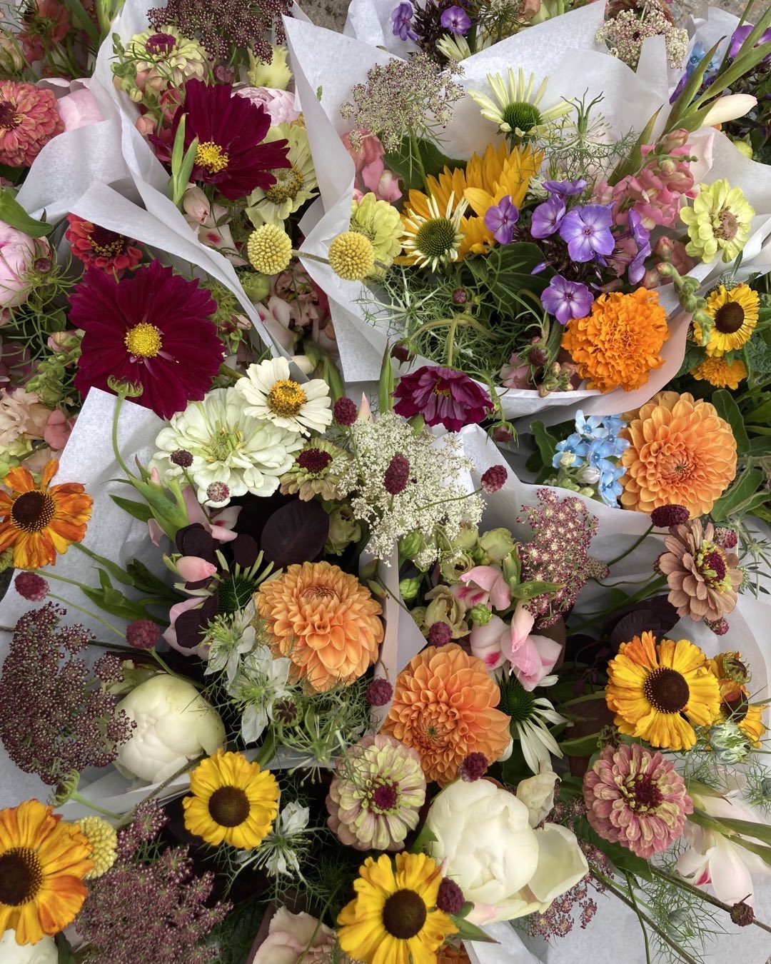 Blommor i olika färger och former