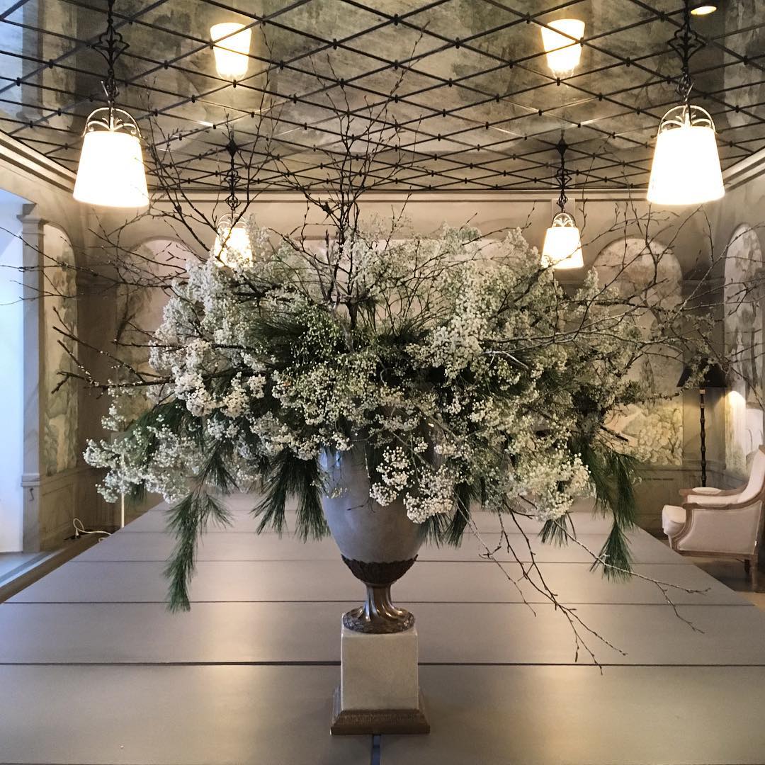 Vacker stor växt i en foaje