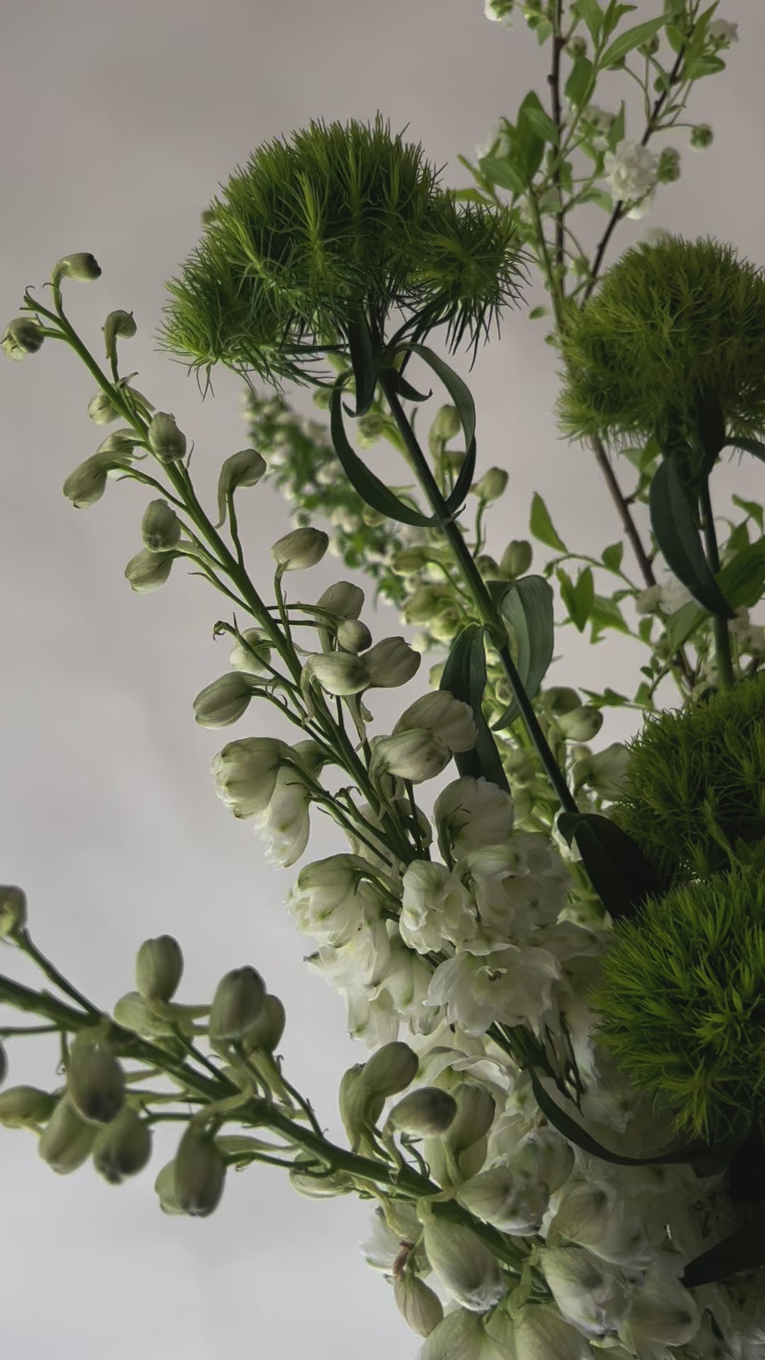 Ladda video: The classic one