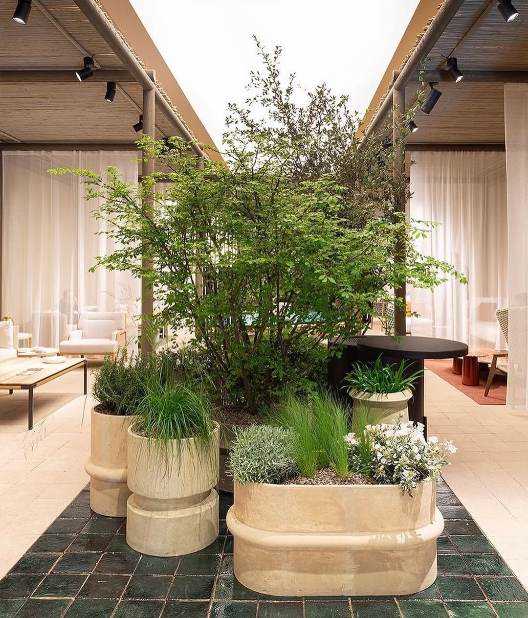 Stora växter på ett kontor